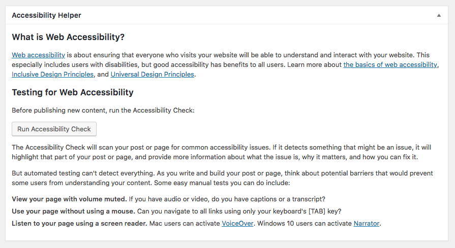 WordPress meta box with information about accessibility and manual testing.
