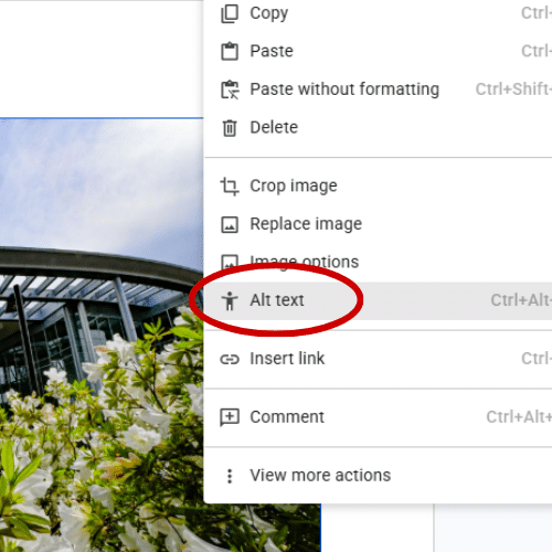 Alt text function highlighted in a Google Doc