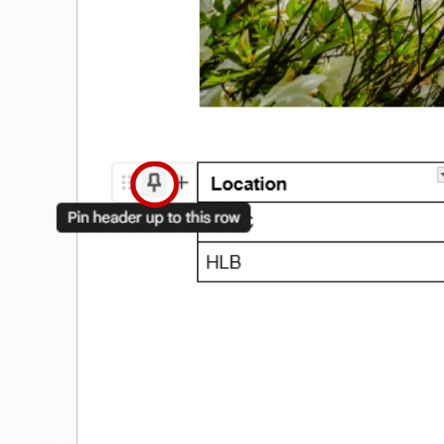 Pin row table function in a Google Doc