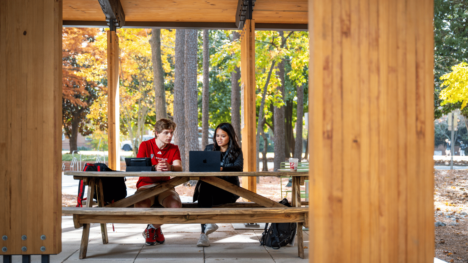 Two students sit at a picnic table while working on a laptop